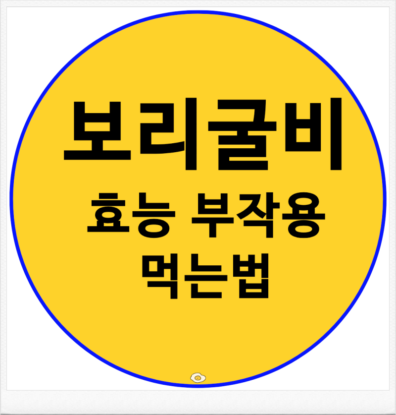 보리굴비 효능 부작용 먹는법 보관법 칼로리까지 정리
