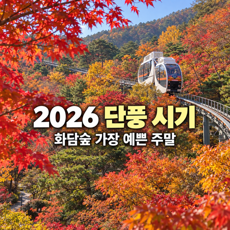 2026 단풍 시기, 설악산부터 화담숲 언제 갈까