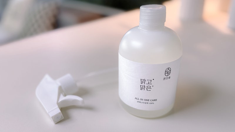 "강아지 원목 집에 좀벌레가?" 다이소 대신 컬리에서 편백수 골랐어요