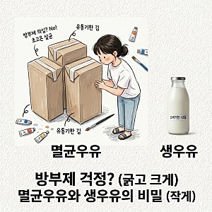 멸균우유 방부제 안 상해서 의심하다 안 삼 생우유 차이 영양소 파괴 초고온 살균 칼슘 단점