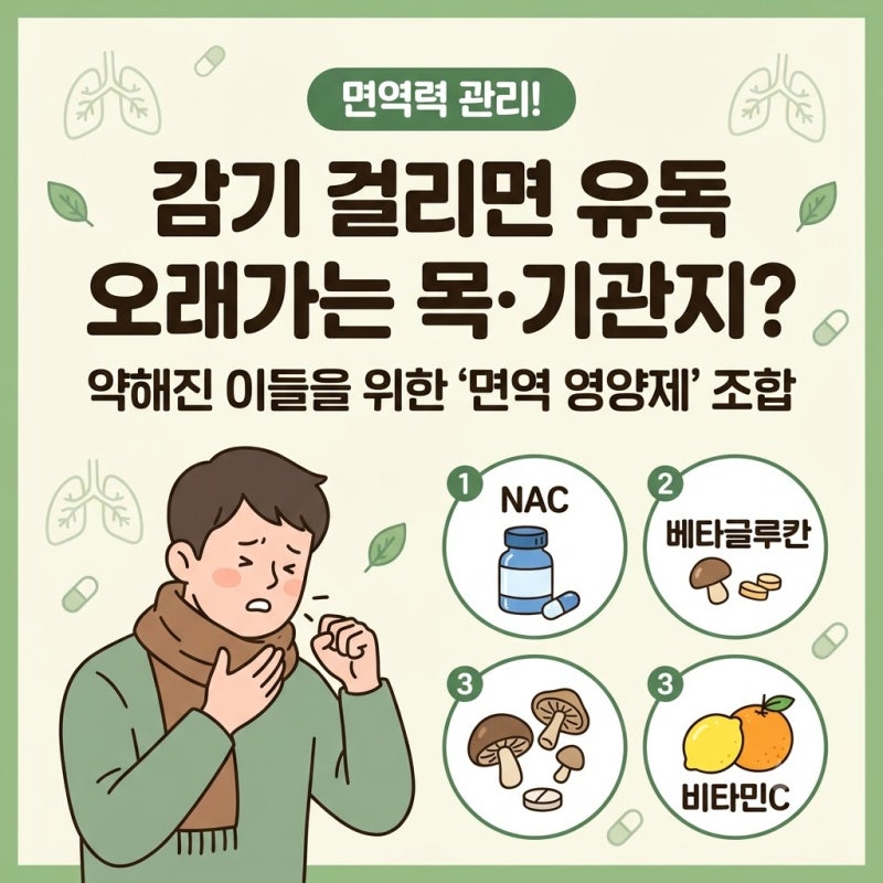 감기만 걸리면 유독 오래가는 목·기관지 약한 분을 위한 면역 영양제 조합