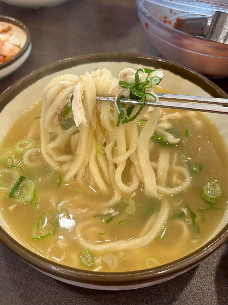 일산 맛집 일산칼국수 본점 닭칼국수 주말 웨이팅 재방문 후기