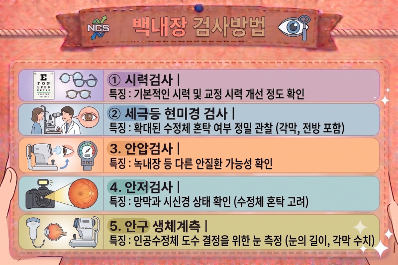 백내장 증상부터 검사와 치료까지 총정리｜수술 시기와 인공수정체 선택은?