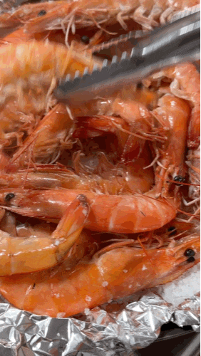 대천항 수산시장 대하 1kg 시세 광어 2kg 회 포장 #내돈 #아빠생신 :)