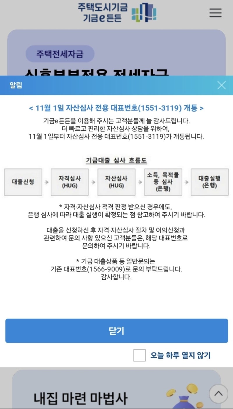 기금e든든 디딤돌대출 자산심사 부적격 이의신청 & 기금중복대출 상환조건부 해결 (2편)