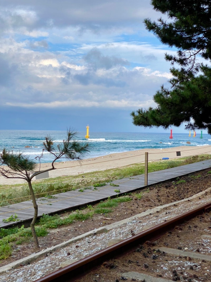 Jeongdongjin Rail Bike: A Must-Visit in Gangneung – Reservations, Fares, Parking, and Reviews