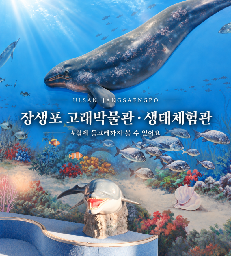 울산 아이와 가볼만한곳｜장생포 고래박물관·고래생태체험관 입장료 주차 돌고래