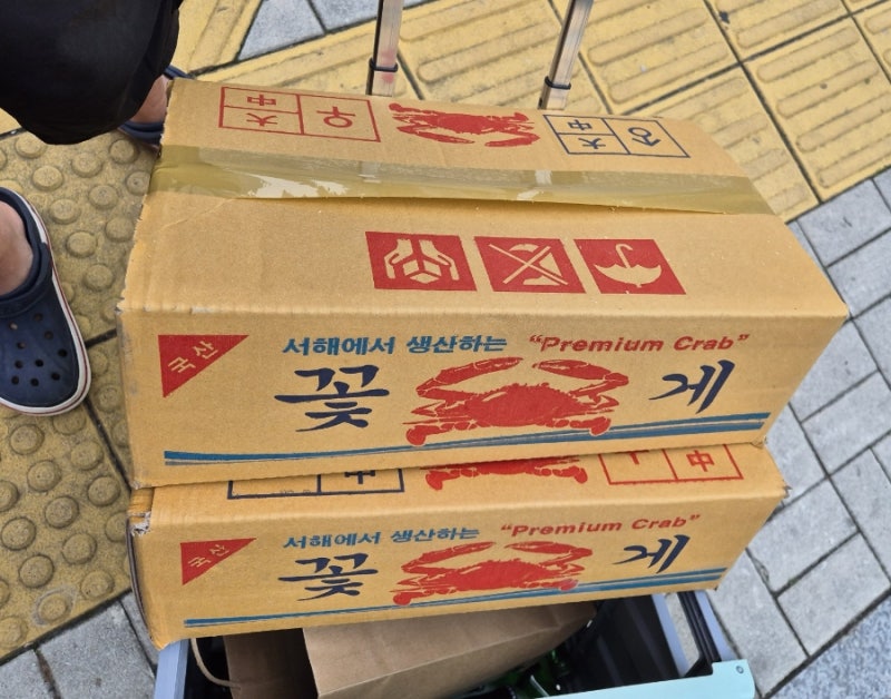 톱밥꽃게 3키로 손질 가격 상태 후기