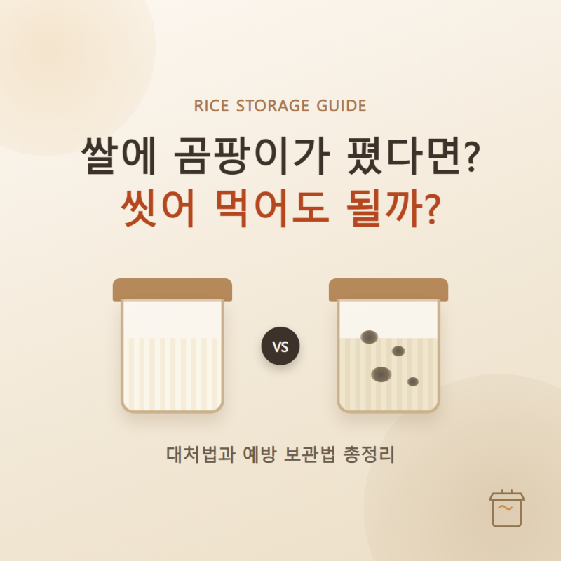 쌀 곰팡이 생겼을 때, 씻어 먹어도 될까? 대처법과 예방 보관법
