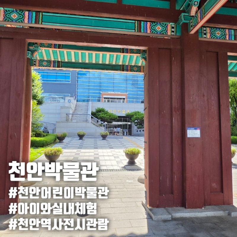 천안박물관 어린이박물관 예약방법 체험 방문후기 천안 실내 아이와 가볼만한곳 추천
