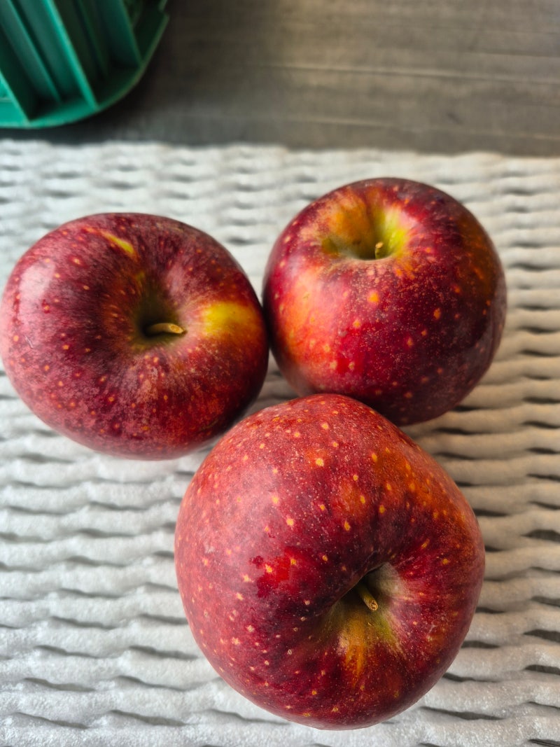 가정용 홍로사과 5kg 10kg, 문경 직거래 가격은 얼마?
