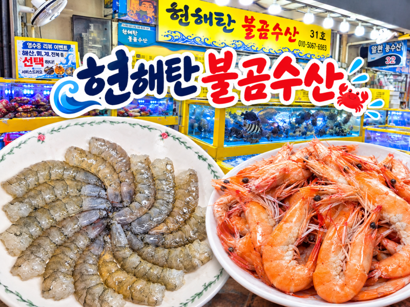 안면도 수산시장 '현해탄 불곰수산' , 싱싱한 생새우 포장 후기