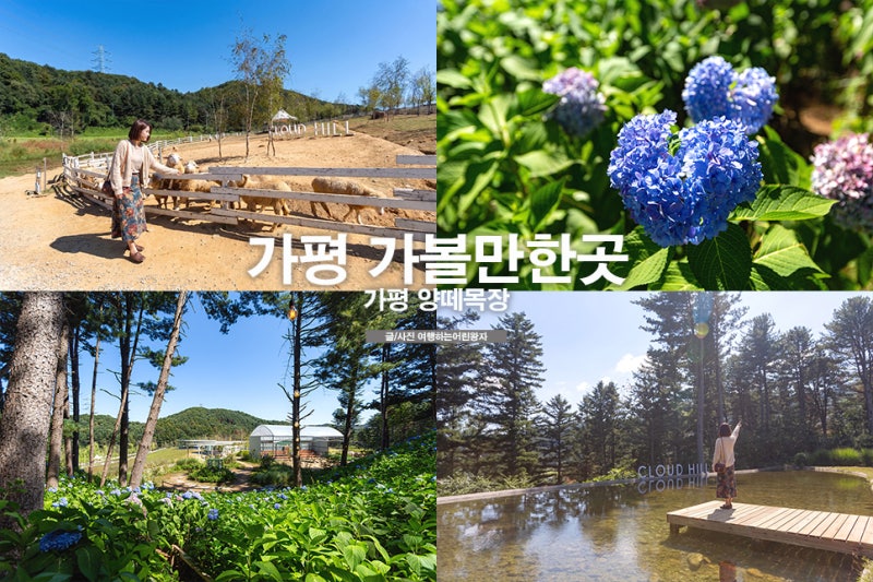 가평 가볼만한곳 경기도 데이트 코스 가평 카페