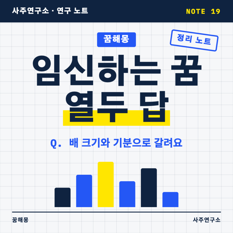 임신하는 꿈 궁금한 열두 가지, 쌍둥이 꿈 태동 꿈 남의 임신 꿈까지