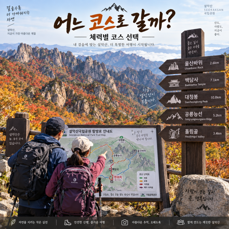 2026 설악산 단풍 등산코스, 초보·대청봉·한계령·흘림골 어디로 갈까