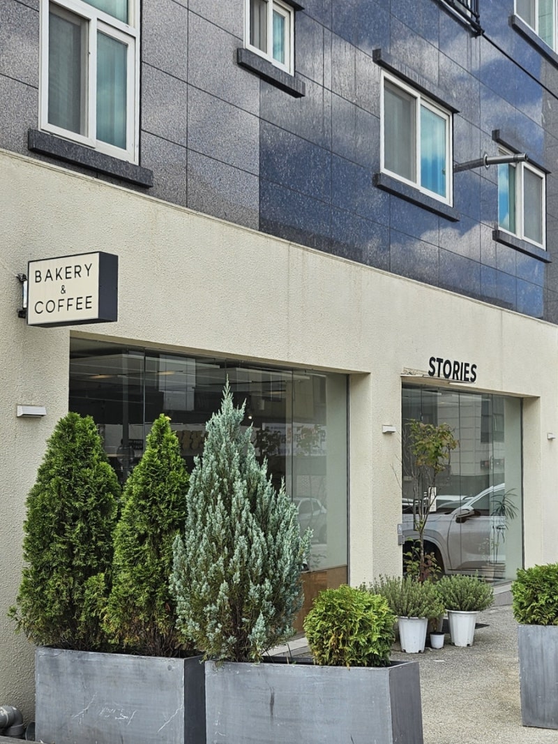 원주 무실동 카페 빵 맛집 분위기 좋은 카페 스토리즈
