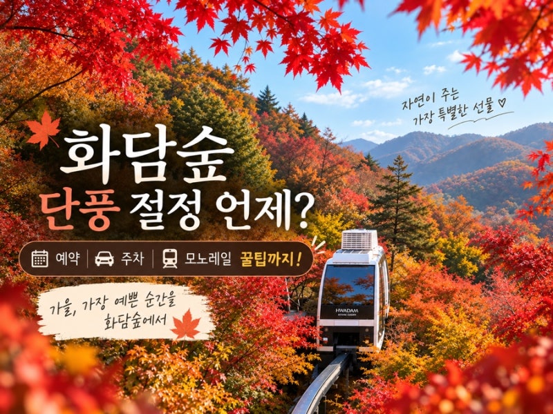 곤지암 화담숲 11월 초중순 방문 후기 / 2026년 가을 단풍절정 시기 언제? 화담숲 예약 방법 예....