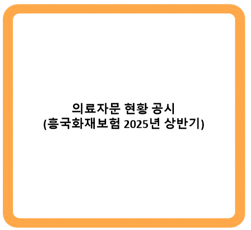 의료자문 현황 공시 (흥국화재 2025년 상반기)