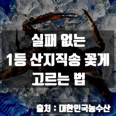 가을 제철 생물 숫게 택배 추천, 실패 없는 1등 산지직송 꽃게 고르는 법