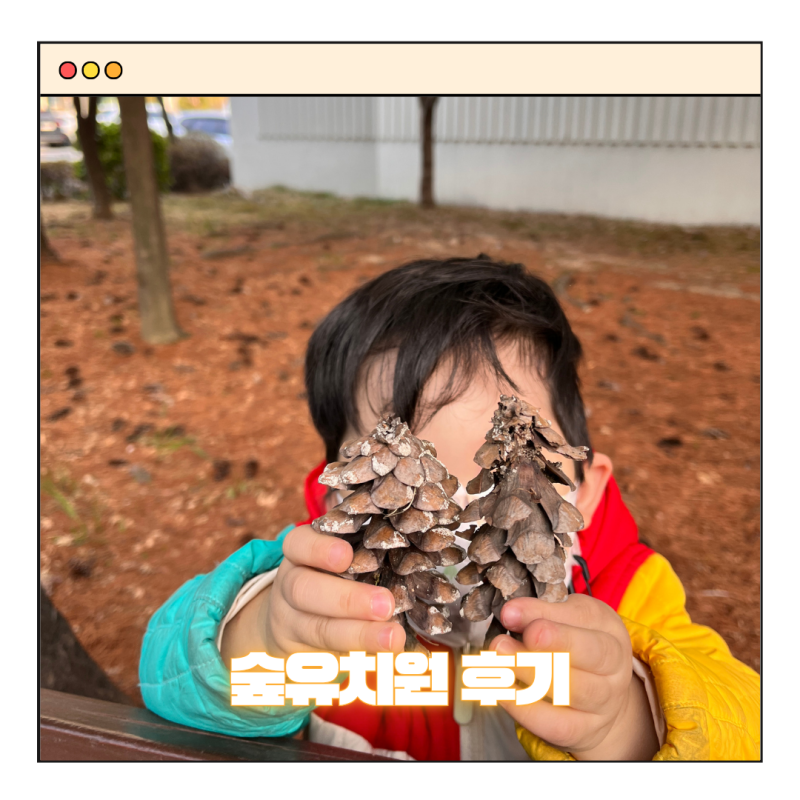 숲유치원 1년 반 다닌 후기 (선택 이유까지)