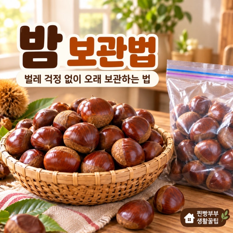 생활꿀팁 #027 밤 보관법 | 생밤 벌레 걱정 없이 오래 보관하는 냉장·냉동 방법