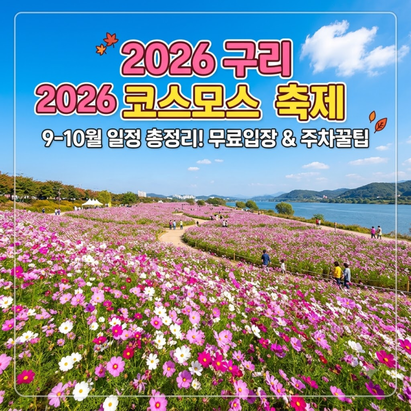 2026 구리 코스모스 축제 9월 10월 일정 총정리! 한강공원 무료입장과 주차 꿀팁 3가지
