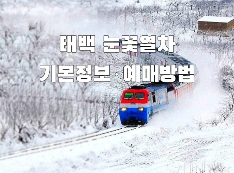 겨울 기차여행｜2026 태백 눈꽃열차 예매방법 기본 정보 태백산 눈축제