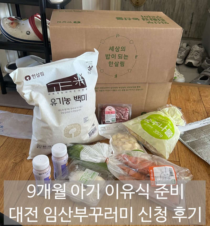 대전 2026 임산부꾸러미 한살림 신청방법 | 9개월 아기와 함께 먹기 좋은 친환경 농산물 후기