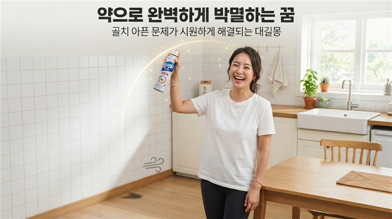 바퀴벌레꿈 해몽 문제해결 액땜운 속시원 대박 정리^^