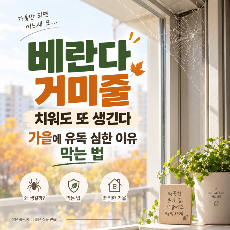 베란다 거미줄 치워도 또 생긴다｜가을에 유독 심한 이유와 막는 법