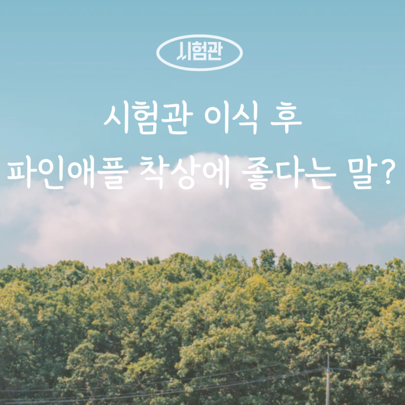 시험관 이식 후 음식 뭐 먹을까｜파인애플 착상에 좋다는 말 사실일까?