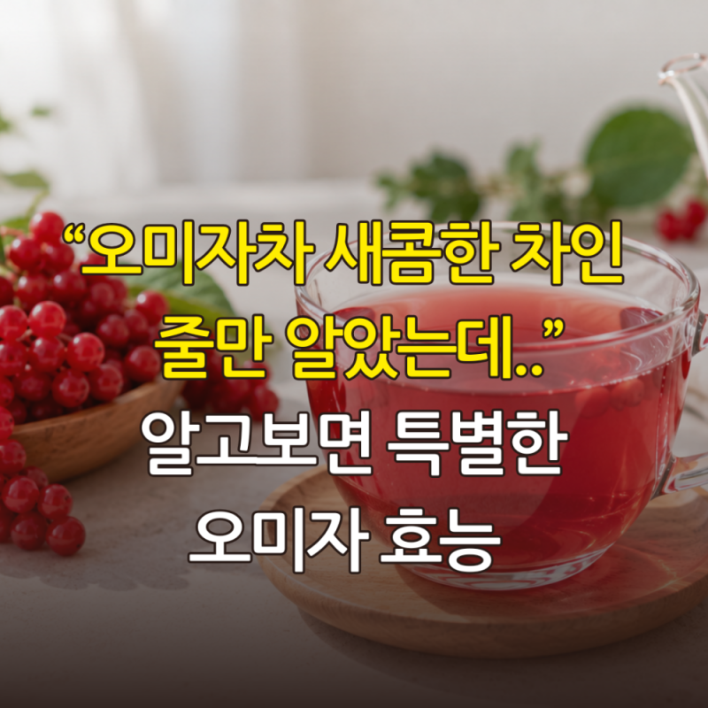 "오미자차 새콤한 차인 줄만 알았는데.."알고보면 특별한 오미자 효능