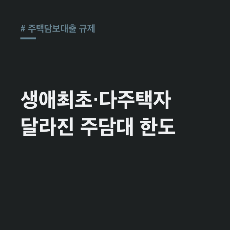 주택담보대출 규제, 생애최초·다주택자 한도 비교