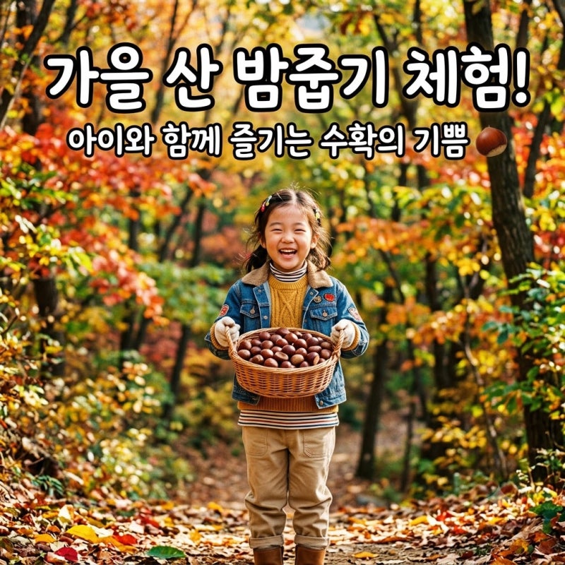 가을엔 역시 밤줍기!전국 가을 밤줍기 체험 장소, 가격, 황금 시기 총정리