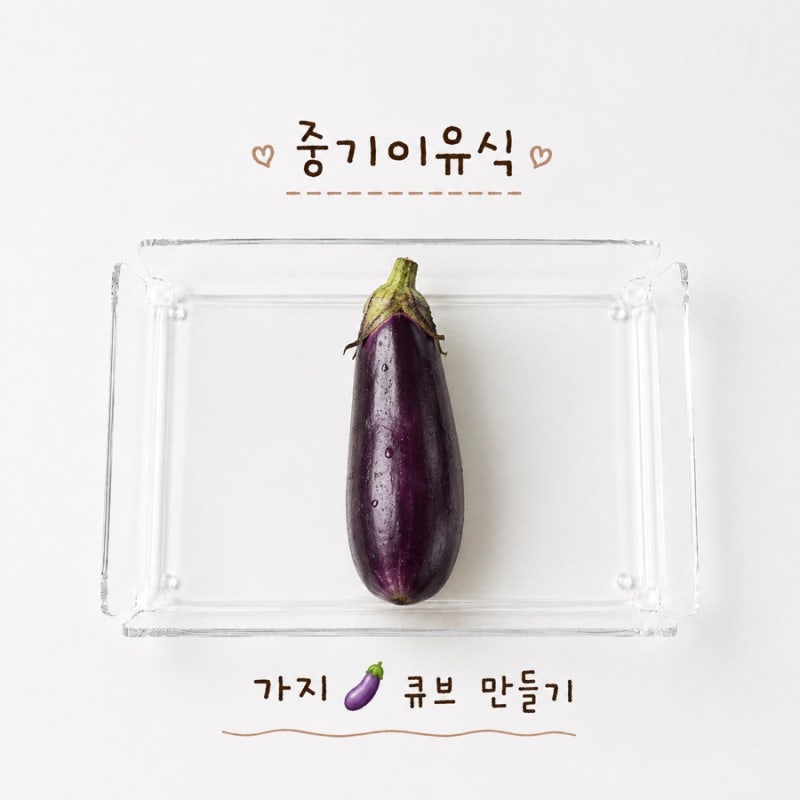 [이유식일기] 중기 이유식 가지 큐브 만들기 (토핑이유식 & 큐브이유식) / 퍼기 찜기 전자레인....