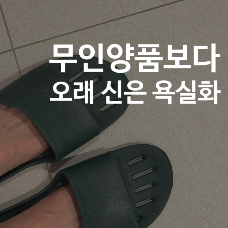 디어커스 누볼라｜3년 신어본 후기