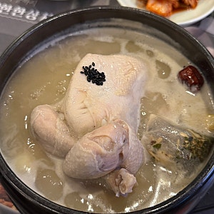 [양재 맛집] 몸이 허할 때 보양식으로 배 채우는 지호한방삼계탕 양재역점 솔직후기