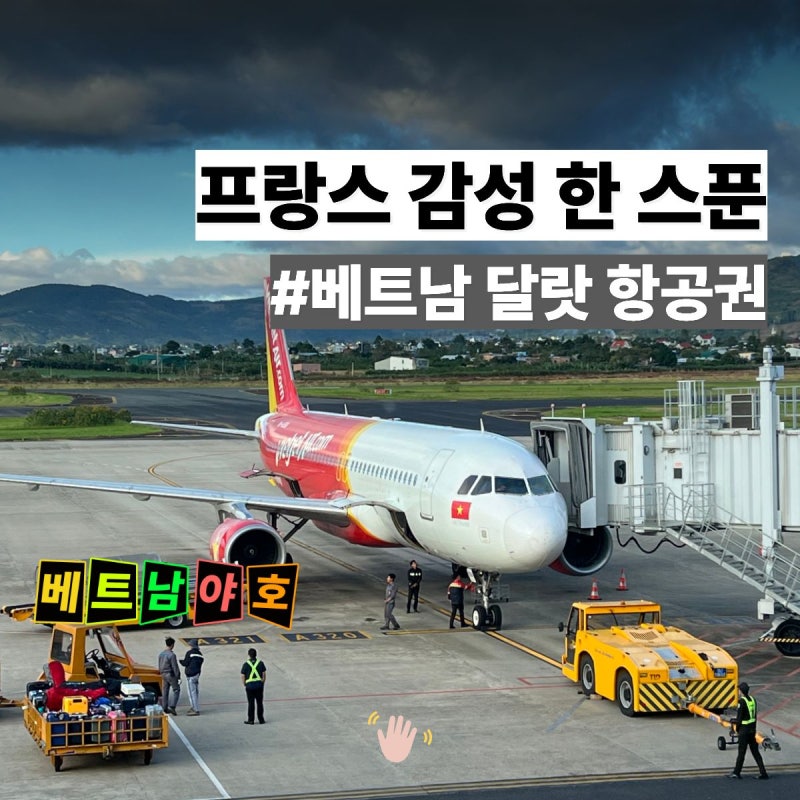 달랏 항공권 폐쇄x, 재개장 : 프랑스 감성 한 스푼