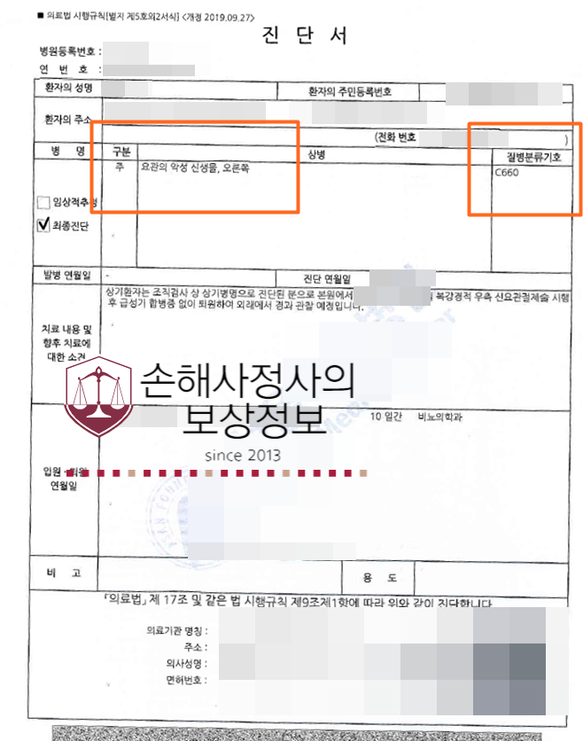 요관의 악성 신생물 청구 시 봐야 할 서류는?