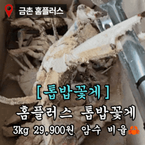 홈플러스 톱밥꽃게 수율 가격 암수비율 보관방법 구매방법 솔직후기