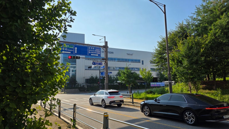 남양주 자동차 검사소 '별내자동차검사소' 종합검사 후기 친절하고 빠른 법정검사 추천