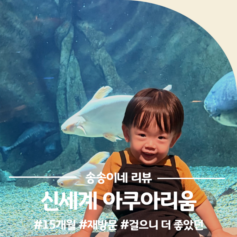 대전 신세계 엑스포 아쿠아리움 15개월 재방문 6개월 때와 반응 비교