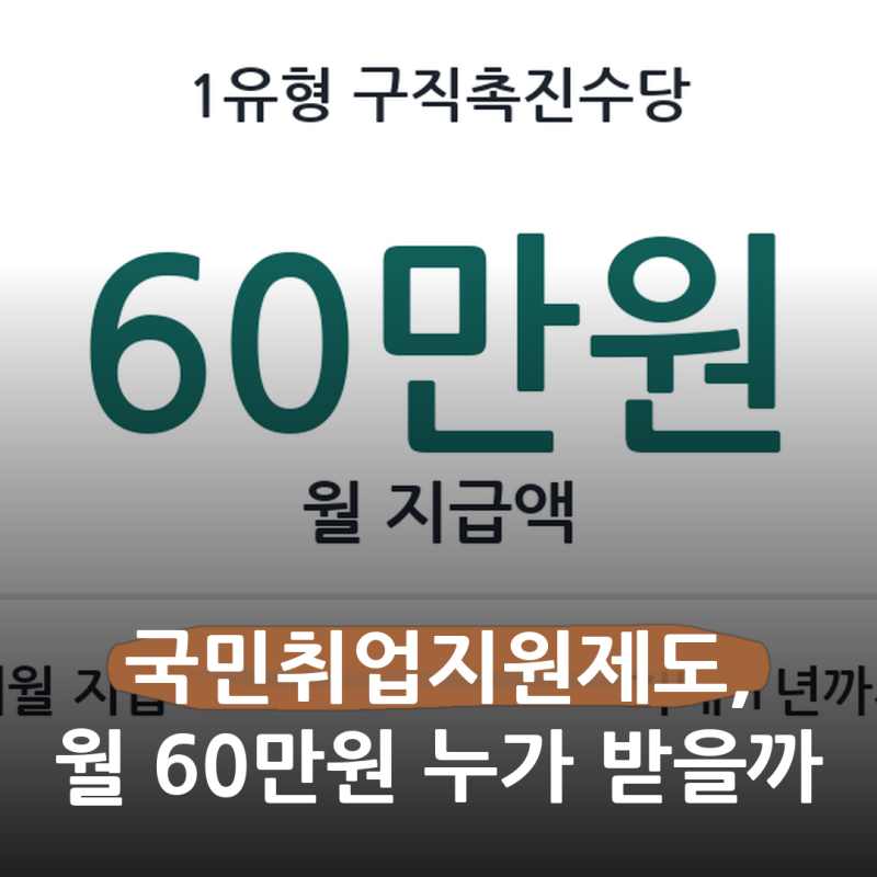 실업급여가 끝났거나 아예 못 받았다면.. 국민취업지원제도 월 60만원 6개월, 1유형과 2유형 ....