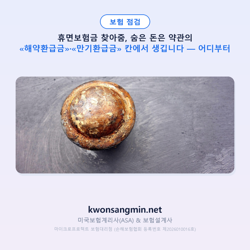휴면보험금 찾아줌, 숨은 돈은 약관의 «해약환급금»·«만기환급금» 칸에서 생깁니다 — 어....