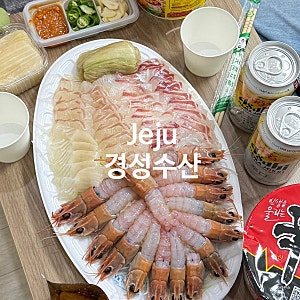 제주 한림 회 포장 추천, 경성수산 (참돔 광어 딱새우 내돈내산)