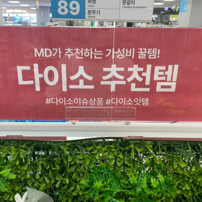 "아니 '이게' 뭐라고 다들 담는거지..?" 다이소 추천템 꽃병 2가지