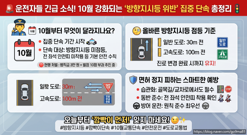 운전자들 긴급 소식! 10월부터 강화되는 '방향지시등(깜빡이) 위반' 집중 단속 총정리 ✨면허 ....