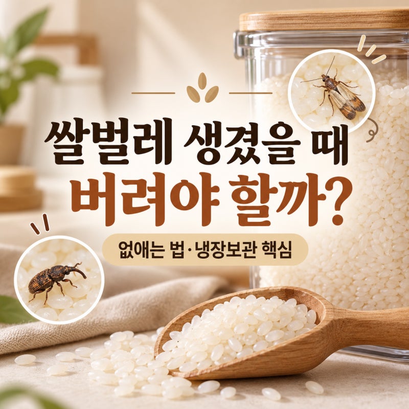 쌀벌레 생겼을 때 버려야 할까? 원인부터 없애는 법·쌀 냉장보관까지