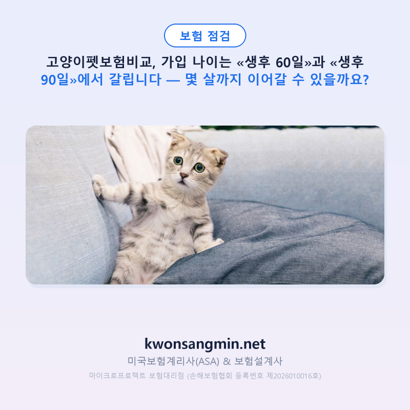 고양이펫보험비교, 가입 나이는 «생후 60일»과 «생후 90일»에서 갈립니다 — 몇 살까지 이어....