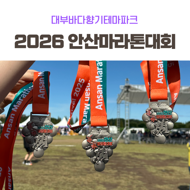 2026 안산마라톤대회, 작년 5km 참가자가 알려주는 일정·코스·주차 정보